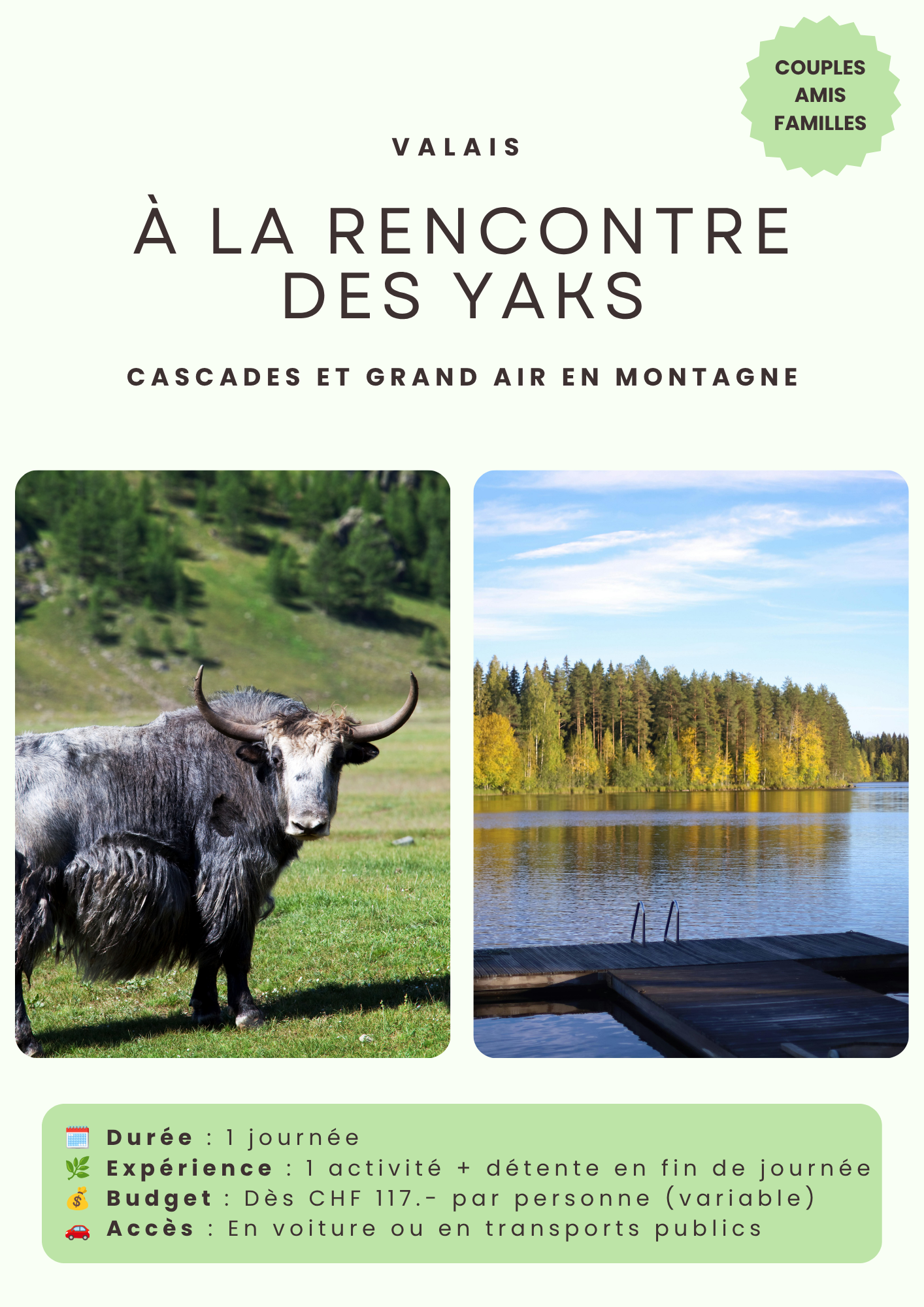 À la rencontre des yaks